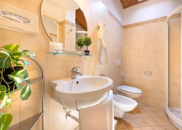 Отель Balaton 3*