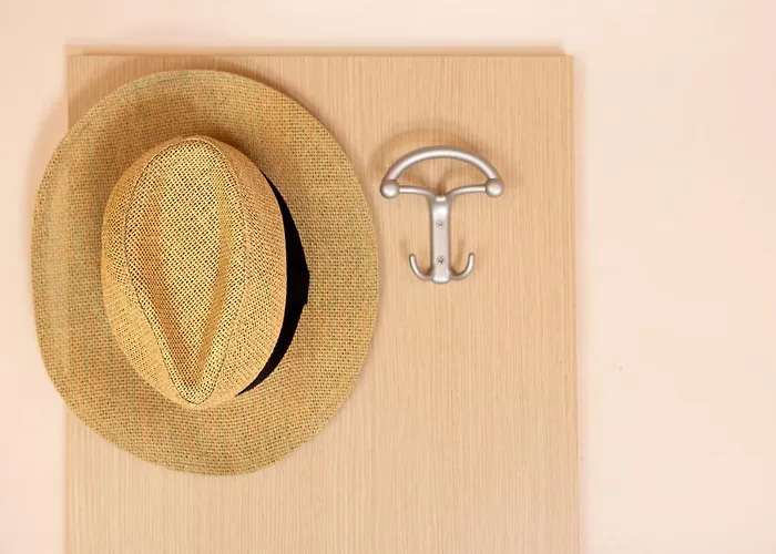 מלון Balaton ריצ'יונה